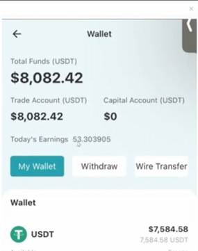 A fake crypto wallet app from the Scam Vault module, showing a balance the victim could never withdraw